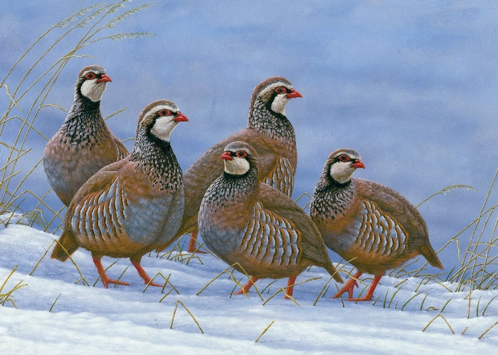 A case of art fortelling reality: how one cold winter morning I spotted a scene I had painted before