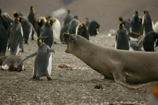 P-p-p pick on someone your own size!