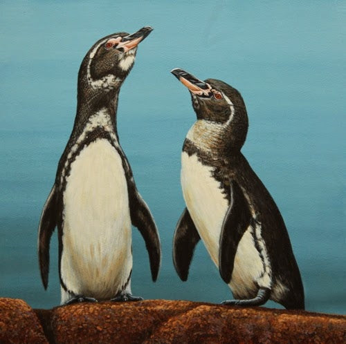 Travel | Underwater Grace of Galapagos Penguin