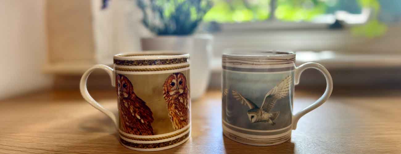 Gifts for birds of prey lovers