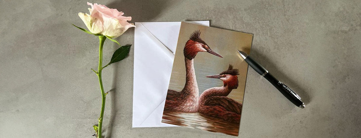 Trade - Individual cards size E (RRP £2.99)