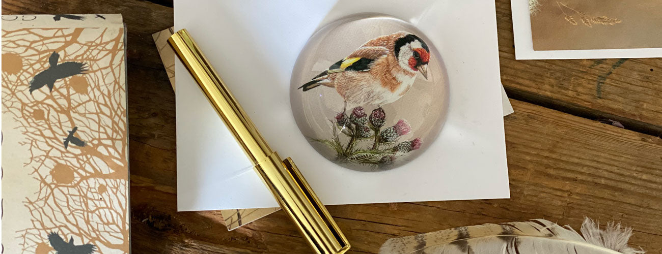 Most popular stationery