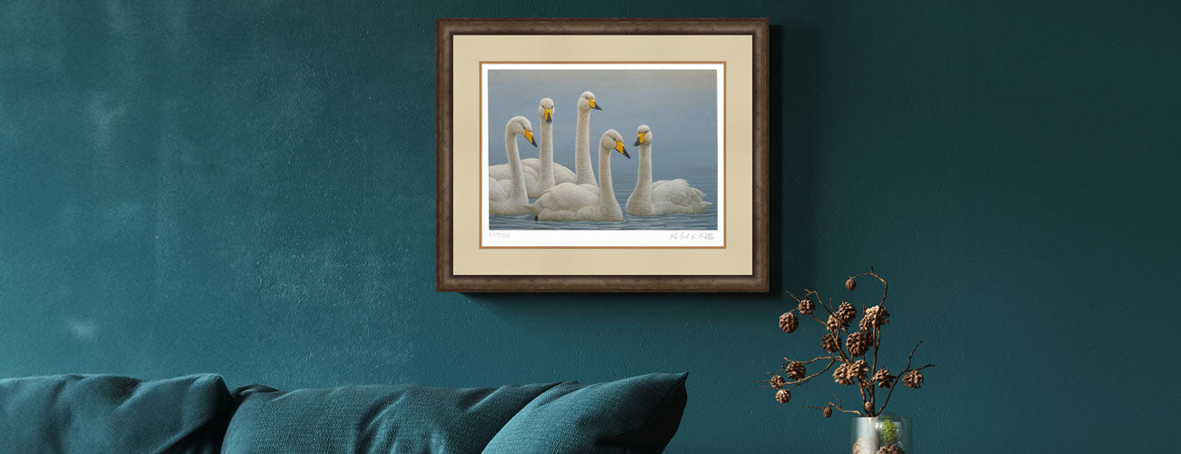 Gifts for swan, duck & water bird lovers