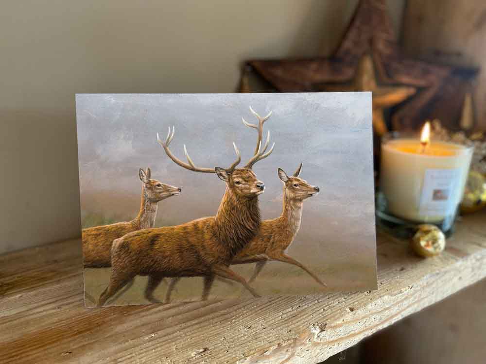 Christmas cards