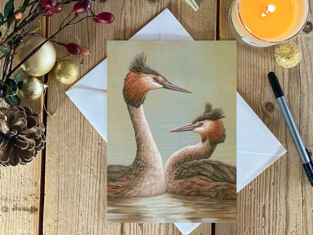 Courting Grebe | Pack of 5 Christmas cards