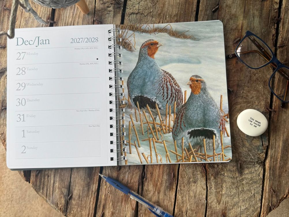Agenda spirale A5 2025