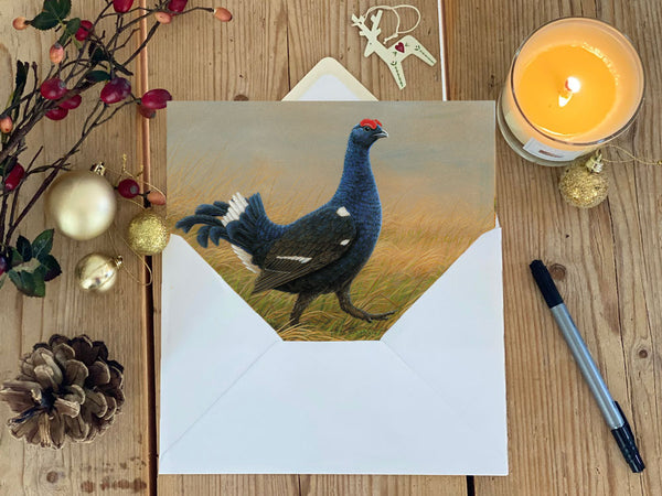 Black Grouse | Pack of 5 Christmas cards Black Grouse | Pack of 5 Christmas cards