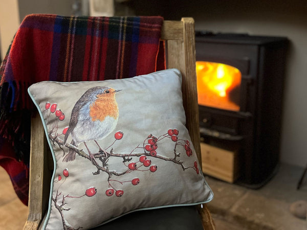 Robin cushion Robin cushion
