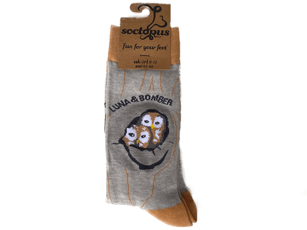 Tawny owl | Mug & socks set