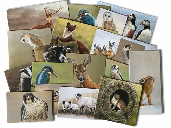 Best of British Greetings Cards | Mixed Pack of 25 Blank Cards Best of British Greetings Cards | Mixed Pack of 25 Blank Cards