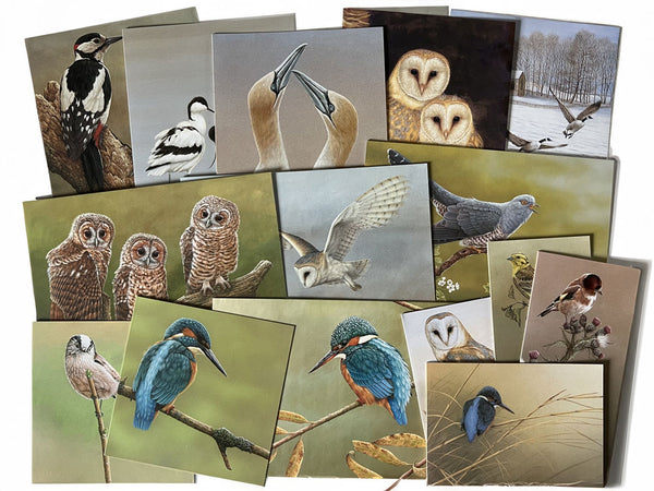 Bird Lovers | Mixed Pack of 15 Blank Cards Bird Lovers | Mixed Pack of 15 Blank Cards