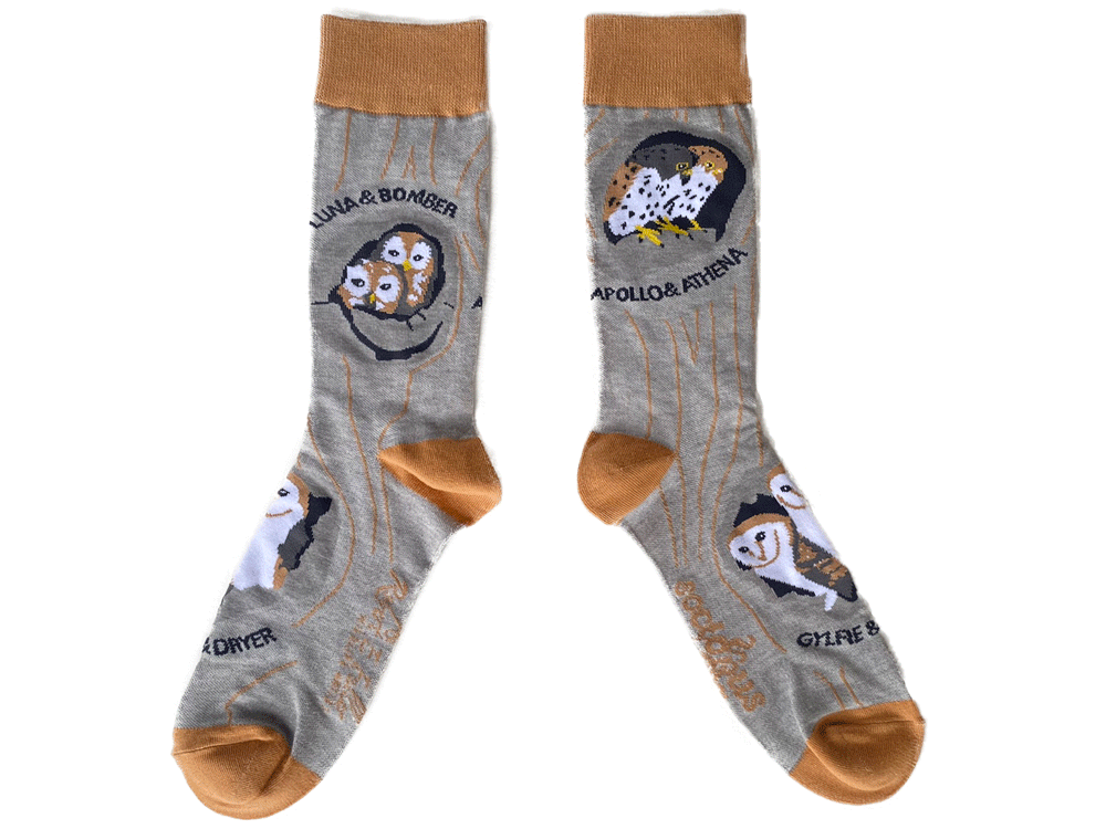Tawny owl | Mug & socks set