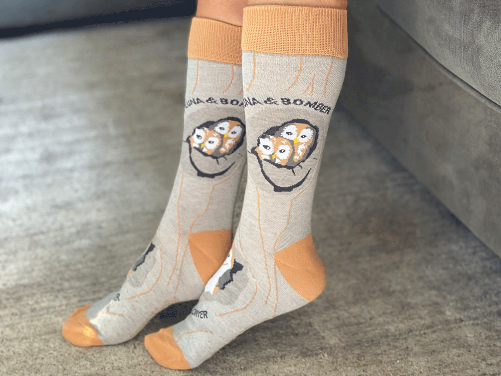 Tawny owl | Mug & socks set