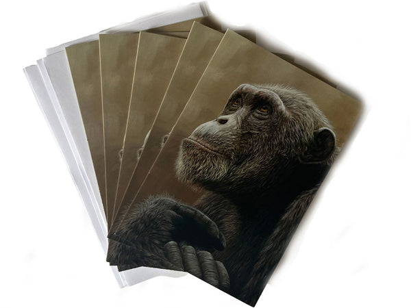 Chimp of Mahale | Pack of 5 small blank greetings cards Chimp of Mahale | Pack of 5 small blank greetings cards