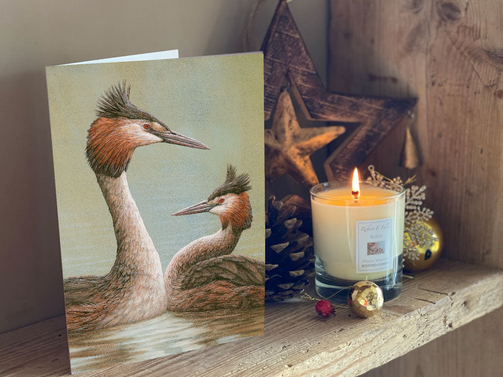 Courting Grebe | Pack of 5 Christmas cards