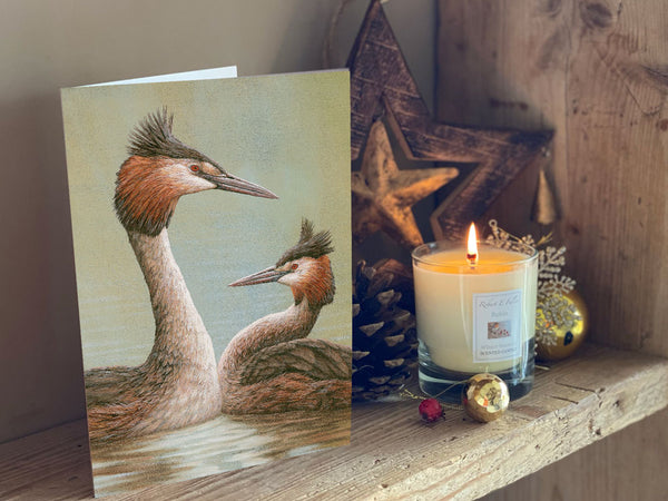 Courting Grebe | Pack of 5 Christmas cards Courting Grebe | Pack of 5 Christmas cards