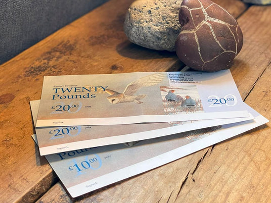 1000x750 gift vouchers