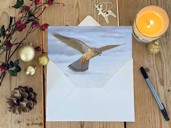 Kestrel in Flight | Pack of 5 Christmas cards Kestrel in Flight | Pack of 5 Christmas cards