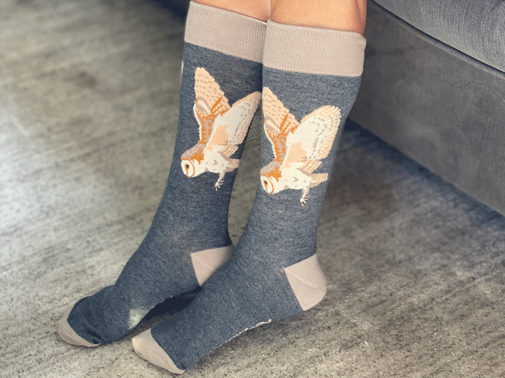 Barn owl | Mug & socks set