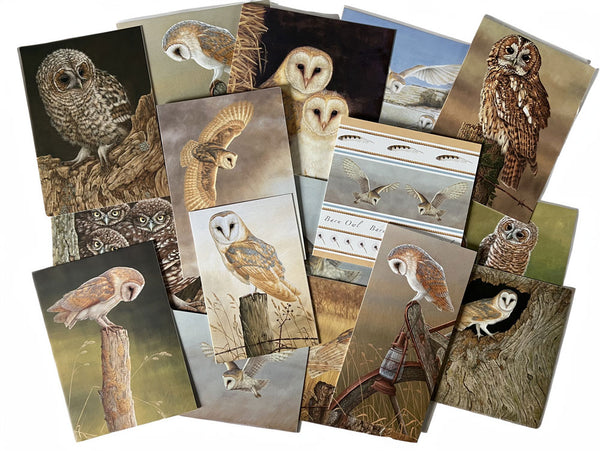 FREE GIFT Owl lovers greetings cards | Mixed pack of 16 blank cards FREE GIFT Owl lovers greetings cards | Mixed pack of 16 blank cards