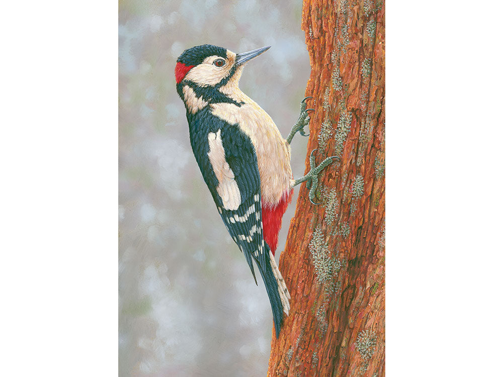 1000x750-woodpecker-fotherdale-xmas-card-against-white-Untitled-1
