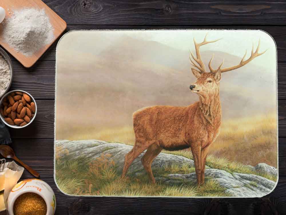 1000x750-worktop-saver-red-stag-black-background