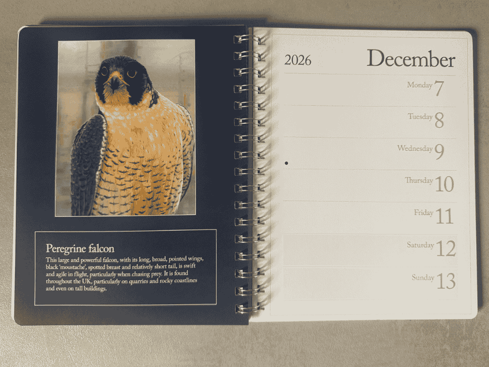 2026 Desk Diary