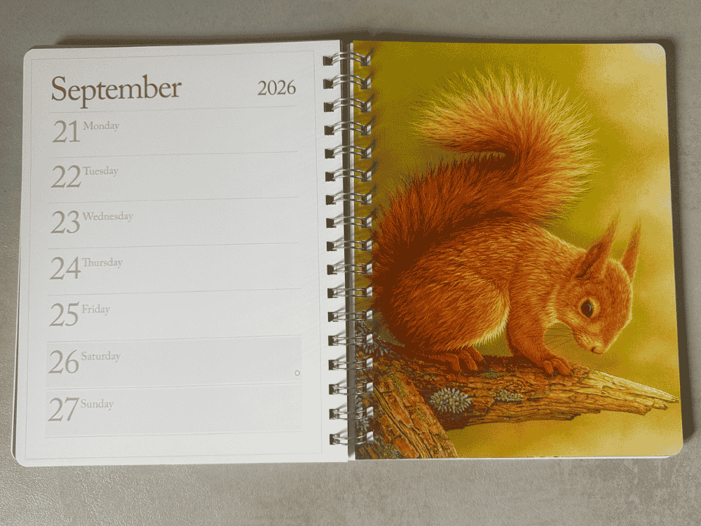 2026 Desk Diary