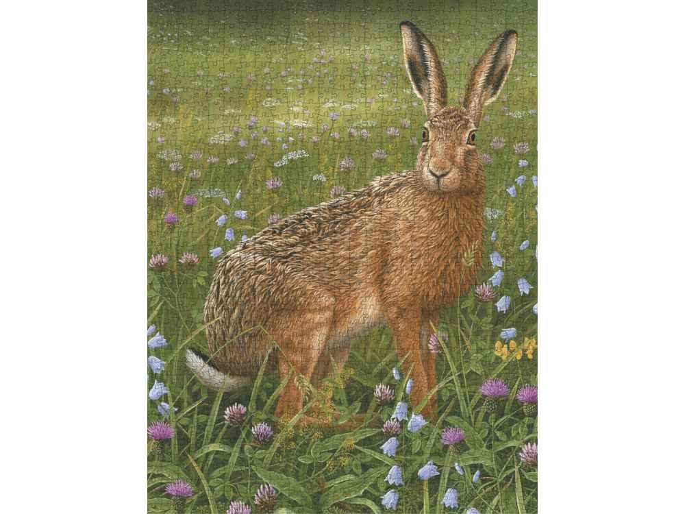 Hare | Jigsaw puzzle | 1000 piece