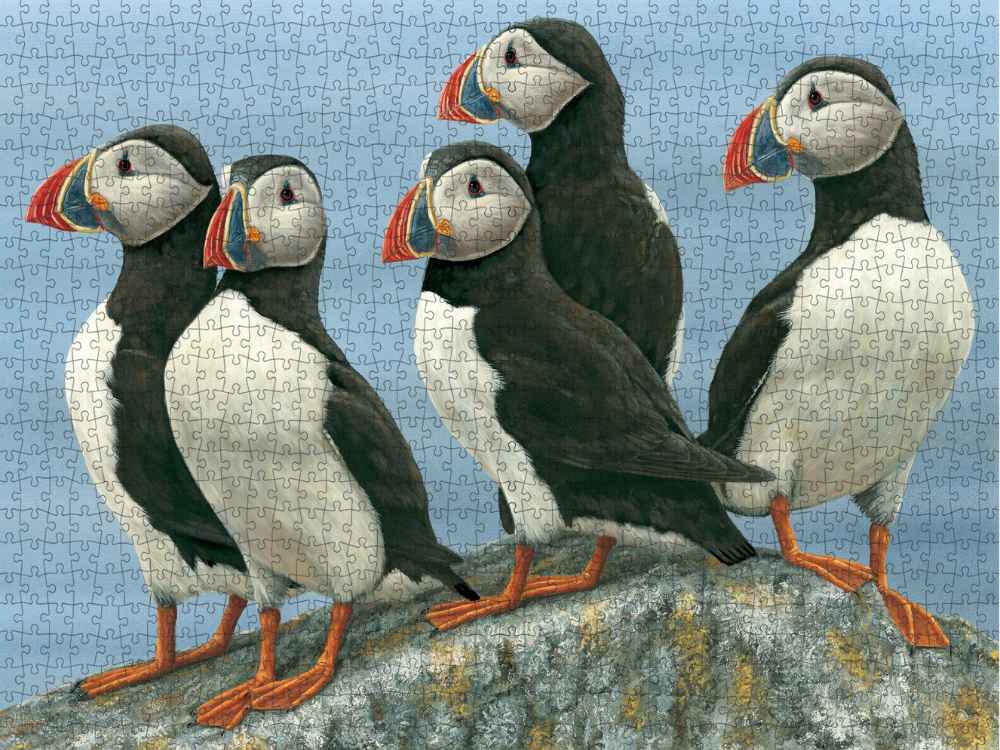 A completed jigsaw puzzle featuring an illustration of five puffins standing on a rocky outcrop against a light blue background.