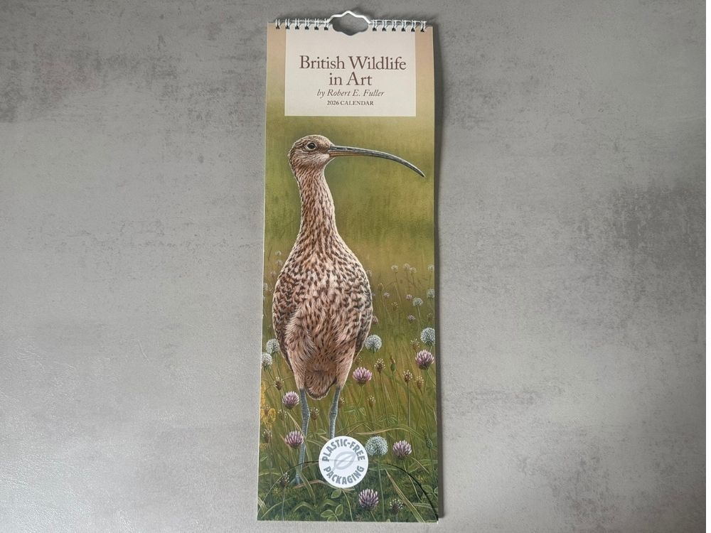 2026 Square Calendar & Slim Calendar