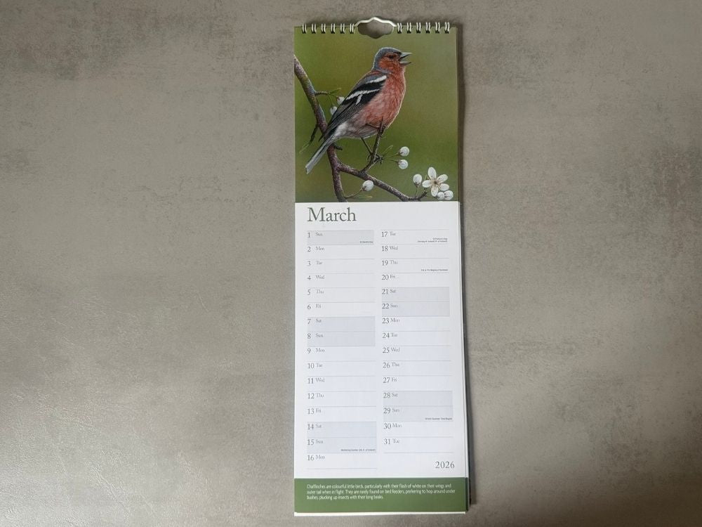 2026 Slim Calendar & Pocket Diary