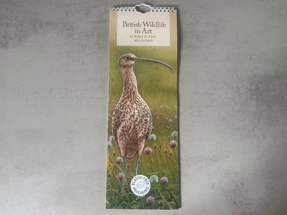 2026 Slim Calendar & Pocket Diary