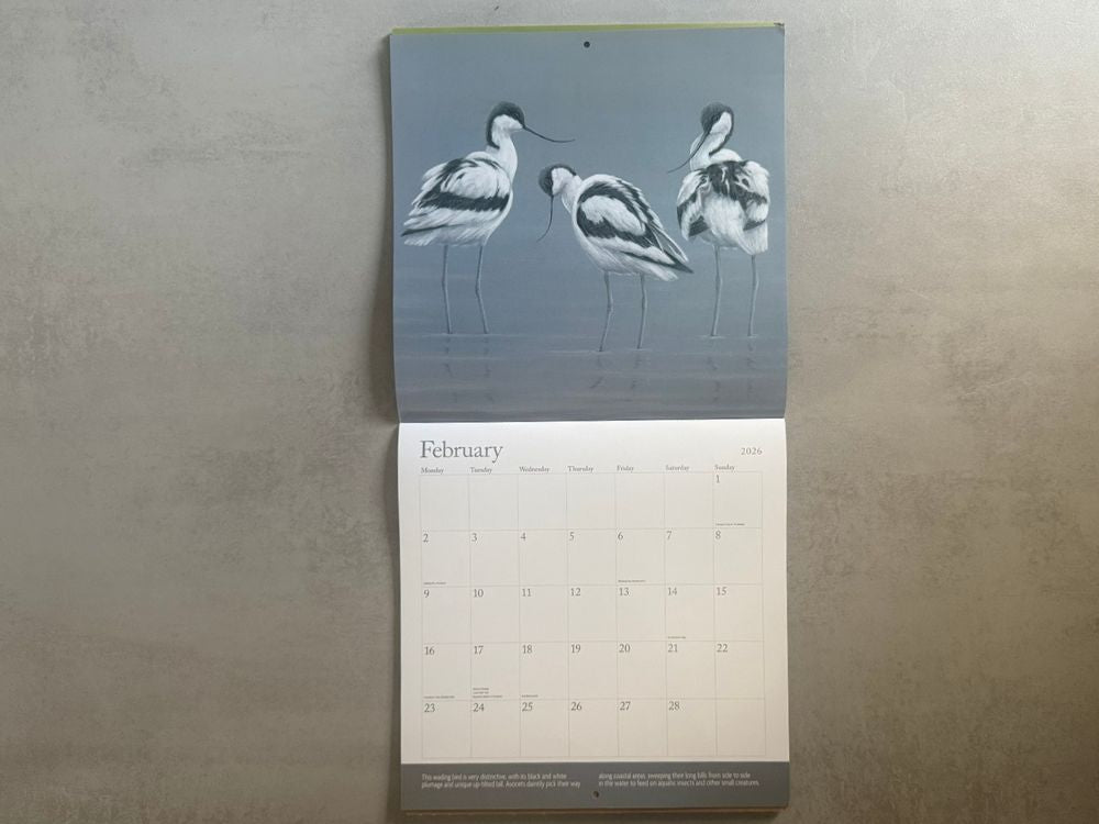 2026 Square Calendar