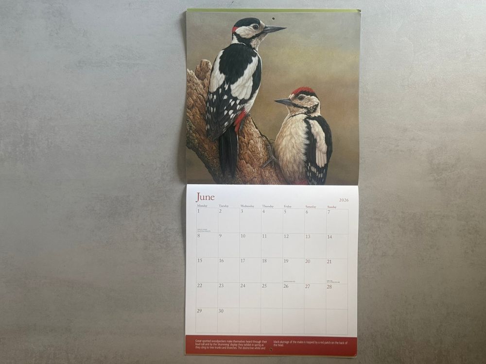 2026 Square Calendar