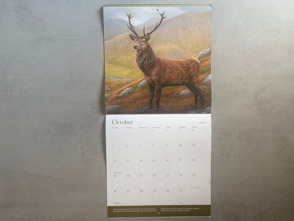 2026 Square Calendar