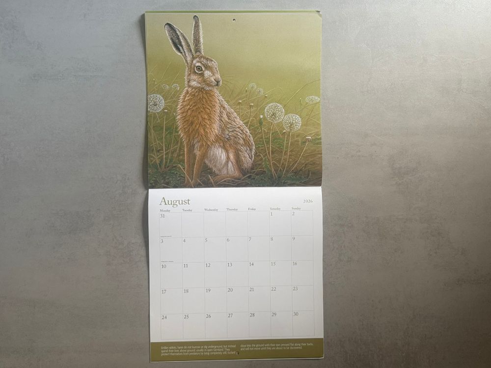 2026 Square Calendar