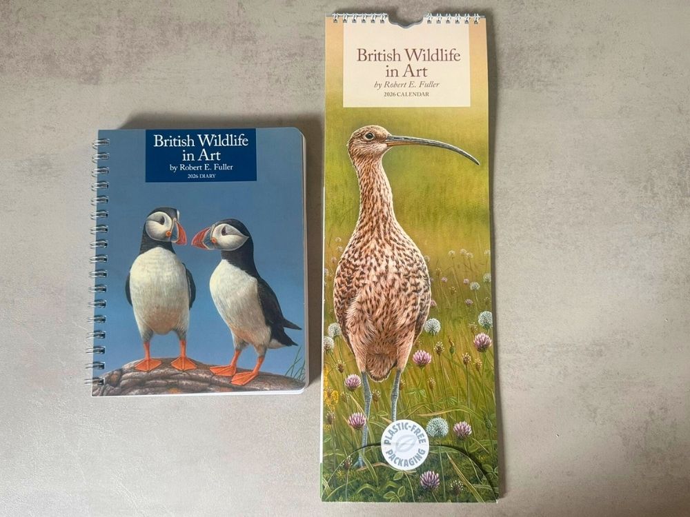 2026 Slim Calendar & A5 Diary