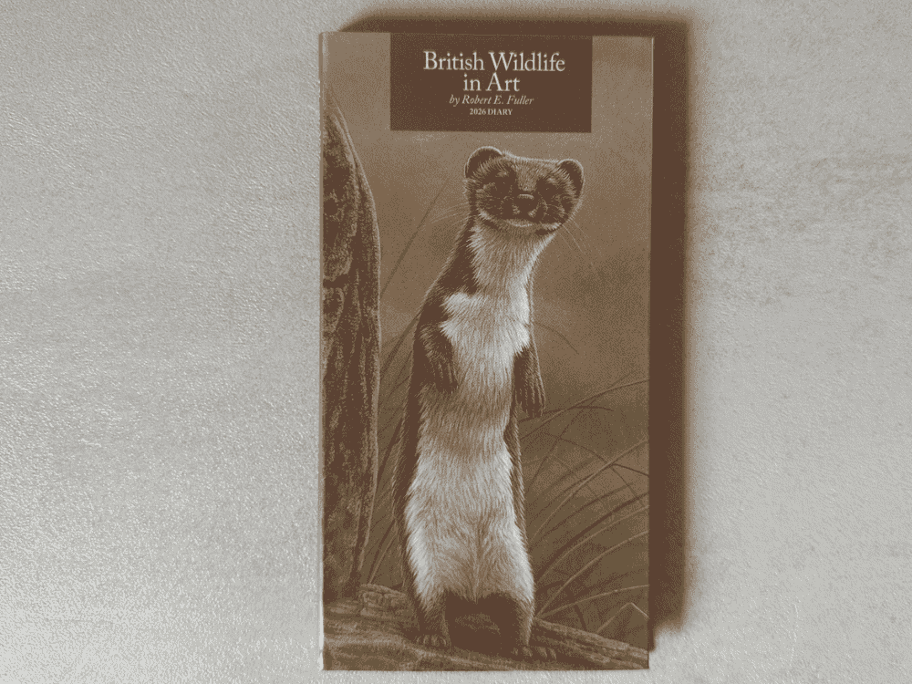 2026 Square Calendar & Pocket Diary