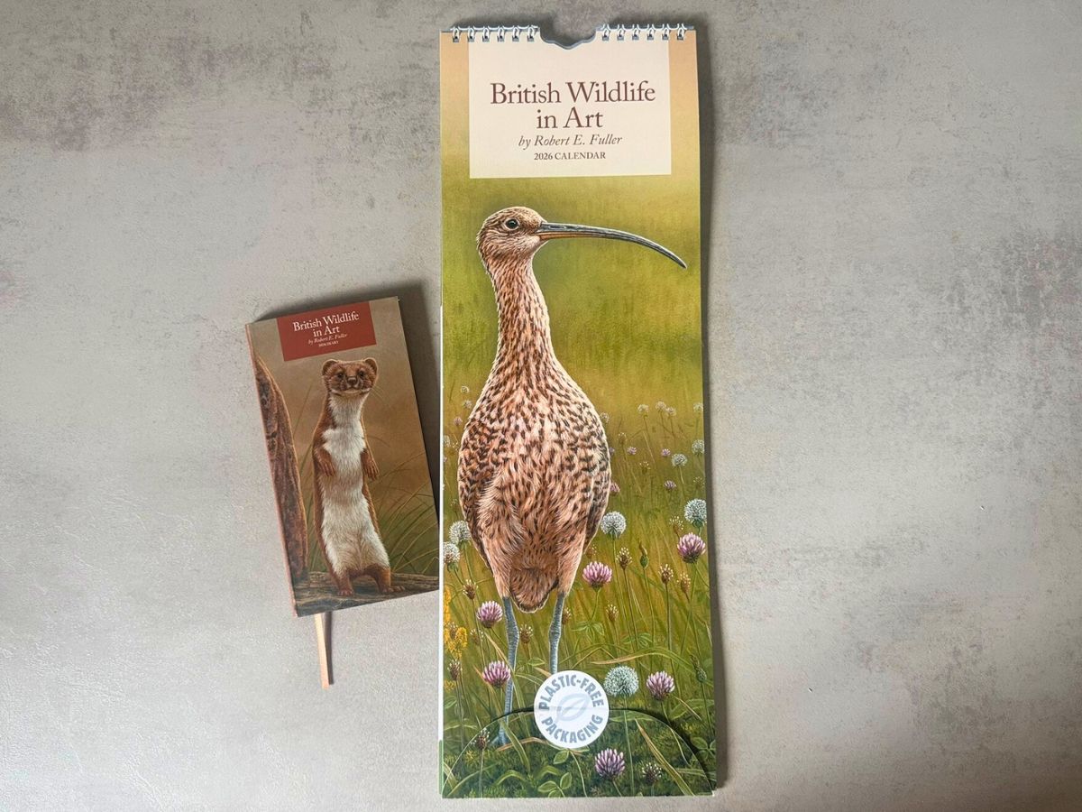 2026 Slim Calendar & Pocket Diary