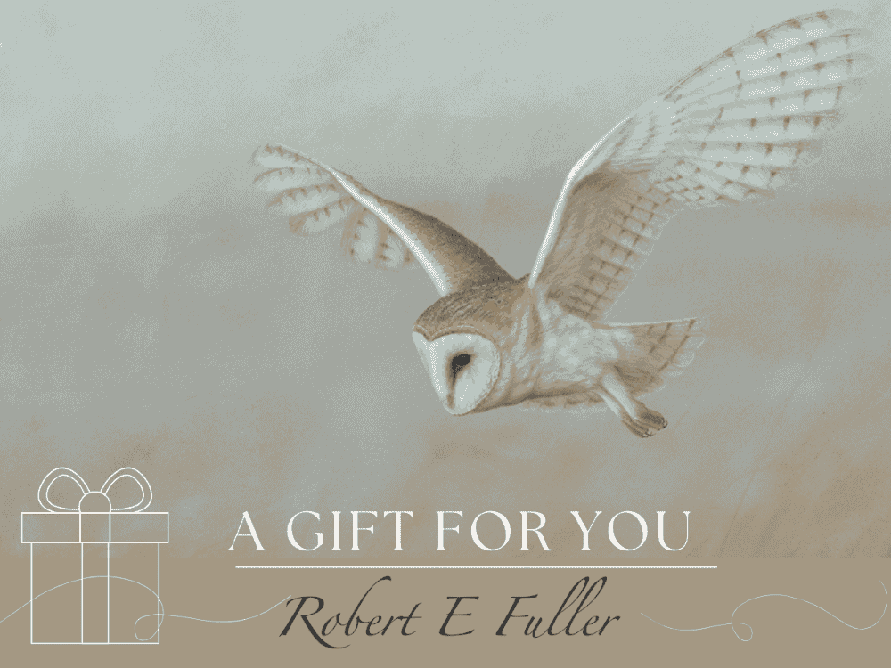 Robert E Fuller physical gift card