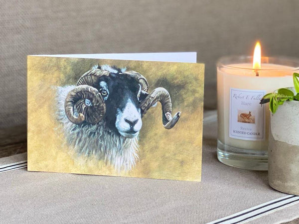 Swaledale | Packung mit 5 kleinen leeren Grußkarten Swaledale | Packung mit 5 kleinen leeren Grußkarten