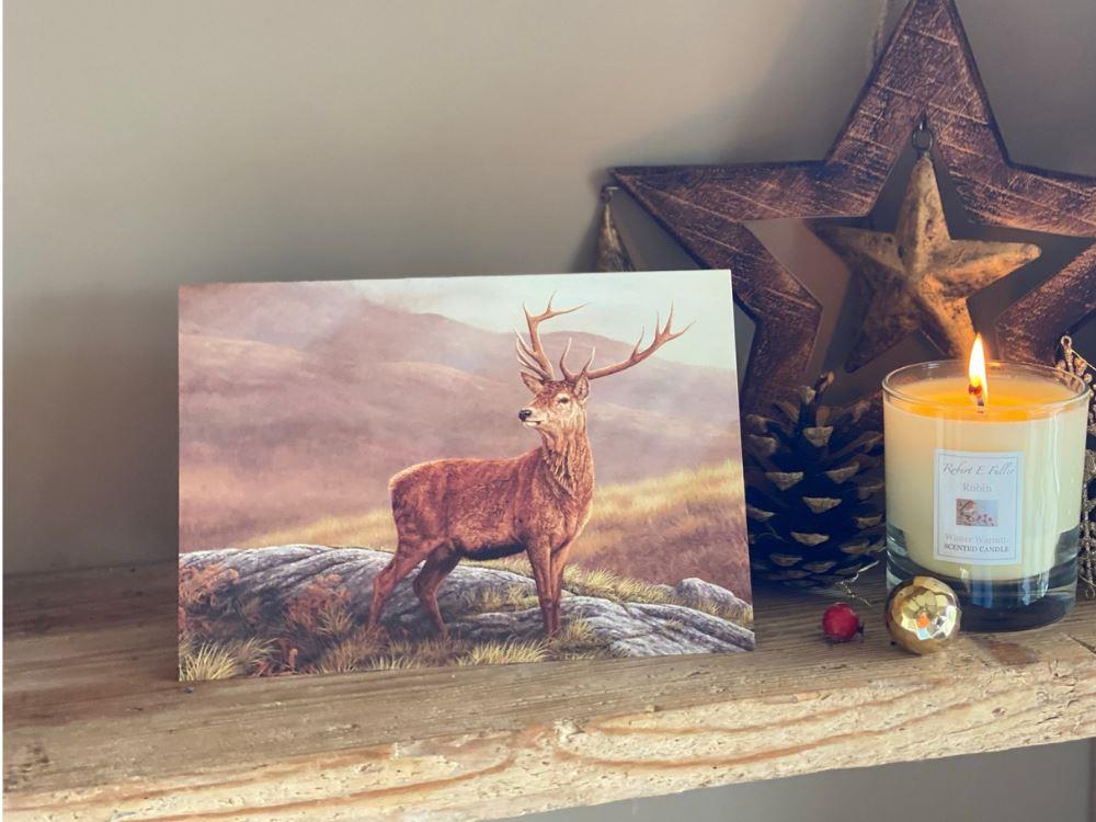 christmas-red-stag-lifestyle