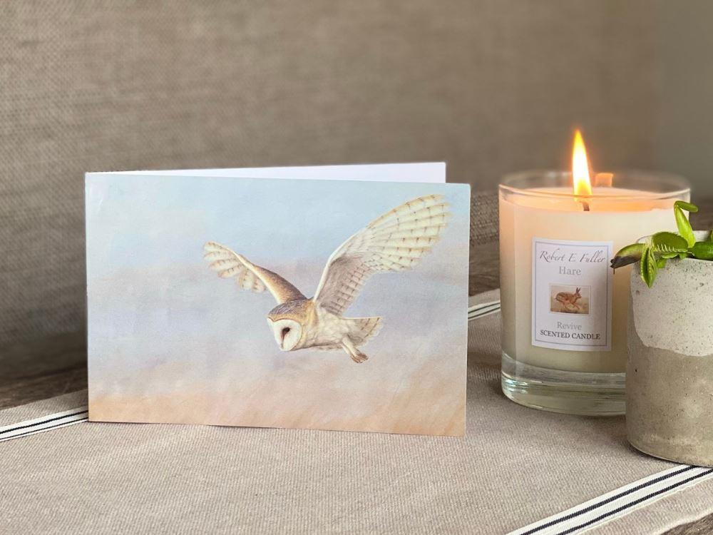 small-blank-greetings-cards-barn-owl-lookout-lifestyle