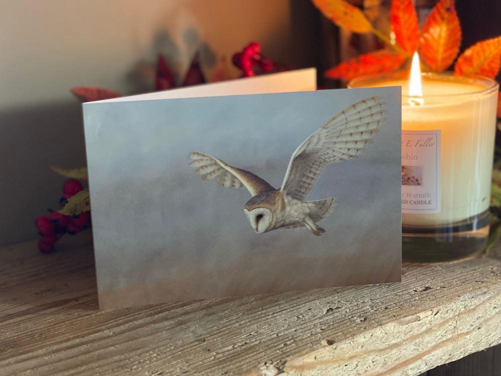 small-blank-greetings-cards-barn-owl-lookout-lifestyle