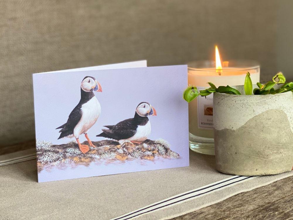 small-blank-greetings-card-puffin-pair-lifestyle