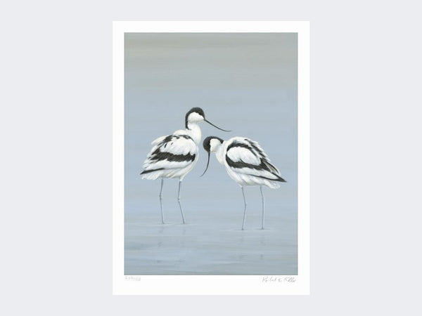 Avocets Perfect Pair | Limited Edition Art Print Avocets Perfect Pair | Limited Edition Art Print