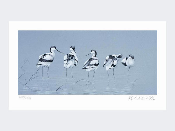 Avocets | Limited Edition Art Print Avocets | Limited Edition Art Print