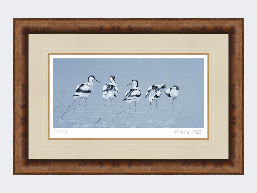 Avocets | Limited Edition Art Print