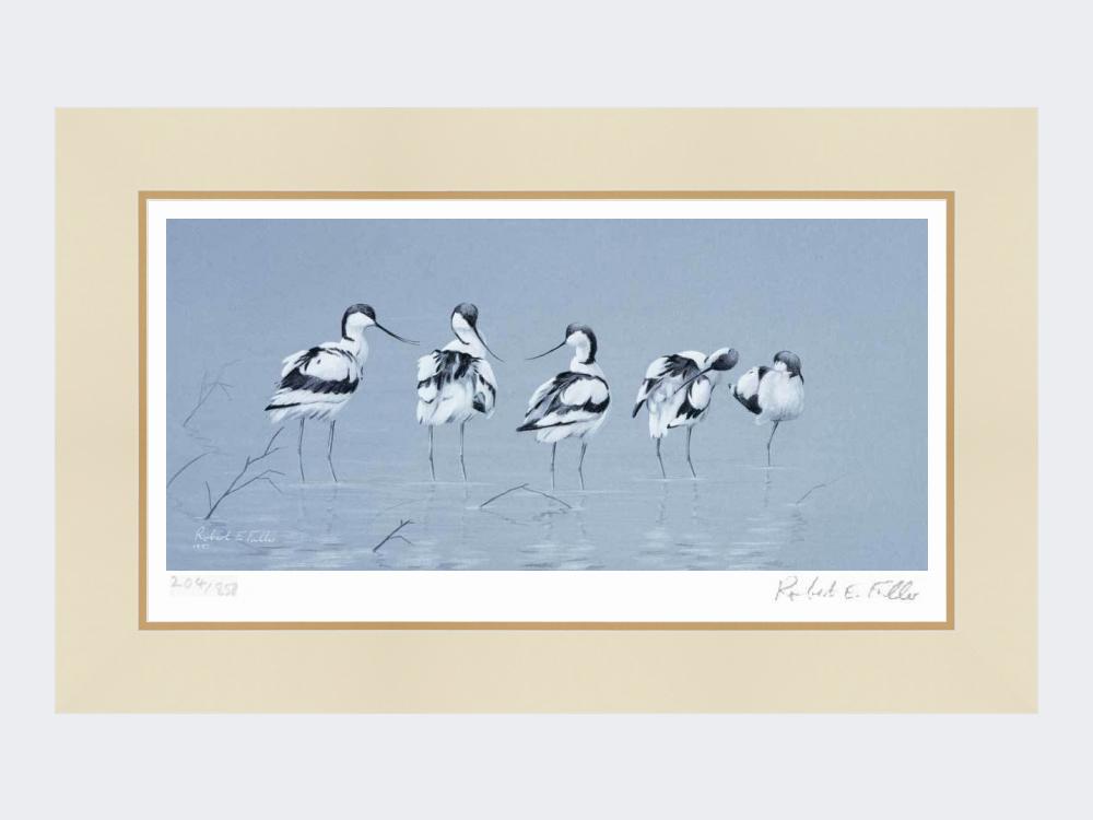 Avocets | Limited Edition Art Print
